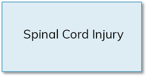 Spinal cord injury courses